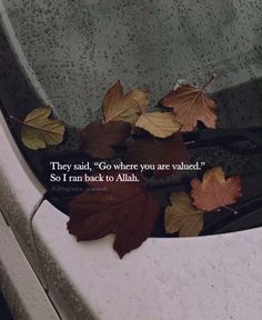 some leaves on the hood of a car with a quote above it that says they said, go where you are value so i ran back to allah