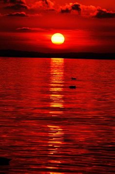 the sun is setting over some water with ducks swimming in it and one boat out on the water