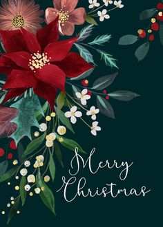 a christmas card with poinsettis, holly and berries on a dark background