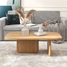 a living room with a couch, coffee table and pillows on the carpeted floor