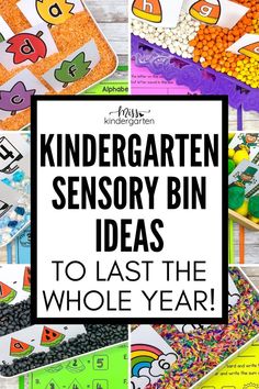 Six seasonal sensory bins May Sensory Bin, Math Sensory Bin, Kindergarten Sensory Bins, Sensory Bins For Kindergarten, Transitional Kindergarten Classroom, Special Education Centers, Kindergarten Sensory, Sensory Classroom, Fall Sensory Bin