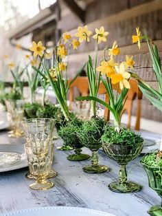 the table is set with glass vases and yellow daffodils in them