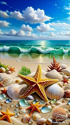 seashells and starfish on the beach under a blue sky