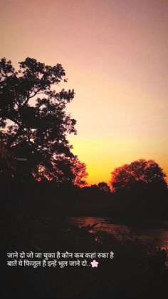 the sun is setting behind a tree and some trees are silhouetted against the sky