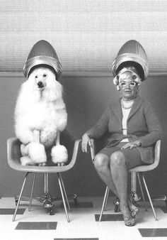 two women sitting in chairs with dogs on their heads