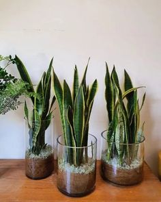 three glass vases filled with plants sitting on top of a wooden table next to a banana