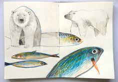 an open book with drawings of fish and polar bears on it's pages,