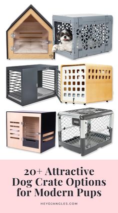 dog crate options for modern pups with text overlay that reads 20 + attractive dog crate options for modern pups