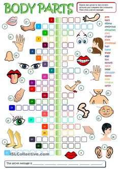 the body parts crossword puzzle game for kids and adults to learn how to use it