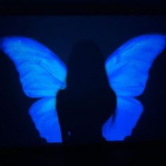 the shadow of a person in front of a blue butterfly on a black background,