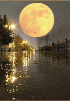 a full moon is seen in the sky above water and trees, with a quote from tom potty on it