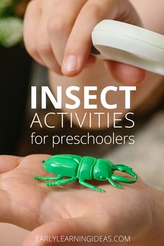 an insect is being held by someone's hand with the words insect activities for preschoolers