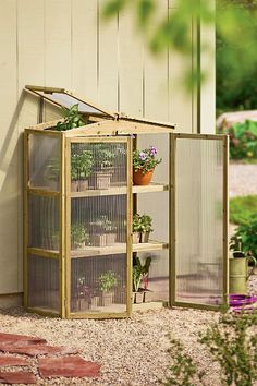 a small greenhouse with several plants growing in it