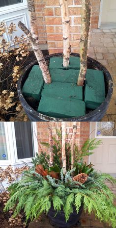 two pictures showing the same planter in front of a house, one with trees growing out of it