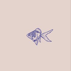 a drawing of a goldfish on a pink background