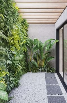 an outdoor area with plants and rocks on the ground, along with a stone walkway