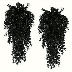 two black leaves hanging from the side of a tree on a white background with space for text