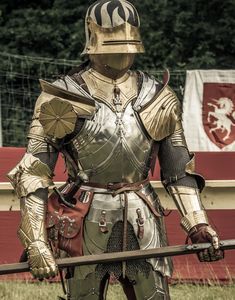 (3) Arms and Armor Gothic Suit, Armor Clothing, Battle Armor