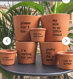 nine clay pots with sayings on them sitting on a table in front of some plants