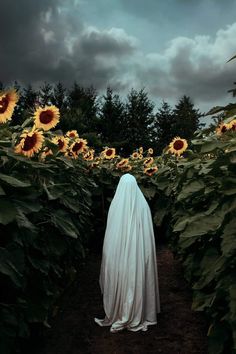 a ghostly figure standing in the middle of a sunflower field with dark clouds overhead