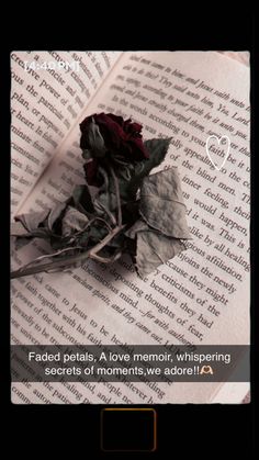 a rose laying on top of an open book with the caption dead petals, love memory whispering secrets of moments we adore