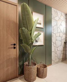 a large plant in a basket next to two baskets on the floor near a door