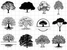 Oak Tree Silhouette, Silhouette Trees, Outdoor Svg, Svg Tree, Trees Svg, Tree Clipart, Tree Svg, Big Tree, Tree Silhouette