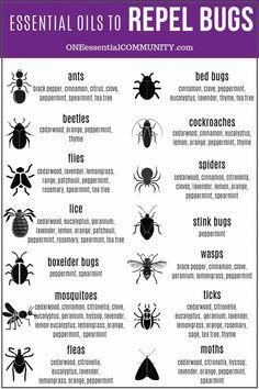 Top 10 essential oils to keep bugs away + DIY recipes for bug spray, insect repellent diffuser blends, patio bug candle, spider spray, & more Essential Oils For Stink Bugs, Anti Spider Spray, Diy Peppermint Oil Bug Spray, Organic Bug Spray For Vegetable Garden, Bug In Prepping, Bug Repellent Diy, Homemade Bug Spray Recipe, Essential Oil Bug Spray, Homemade Bug Spray