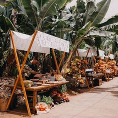 an outdoor market with lots of plants and flowers on tables in front of them, surrounded by palm trees