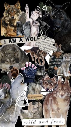 a collage of wolf images with words and pictures on them that say i am a wolf