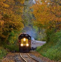 a train is coming down the tracks through some trees with yellow leaves on it's sides