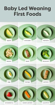 the baby led weaning first foods are shown in different bowls and on plates