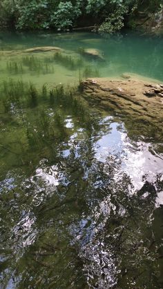 the water is very clear and green in this area