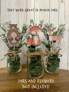 three mason jars filled with moss and animals