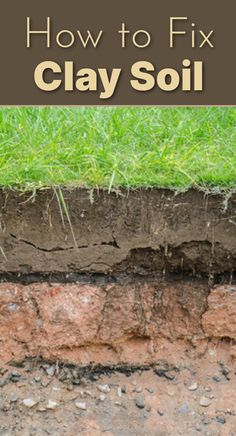 soil layers showing clay soil under green grass How To Fix Clay Soil, Clay Soil Improve, Amending Clay Soil, Front Yard Flower Bed, Clay Soil Plants, Planting Grass Seed, Best Grass Seed, Lawn Problems