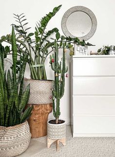 some plants are sitting in baskets on the floor next to a dresser and wall mirror