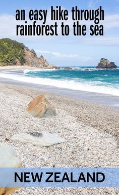 an easy hike through rainforest to the sea on new zealand's west coast is one of the best