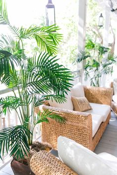 a porch with wicker furniture and palm trees on the back deck, along with potted plants