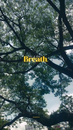 the word breathen is written in yellow on top of trees