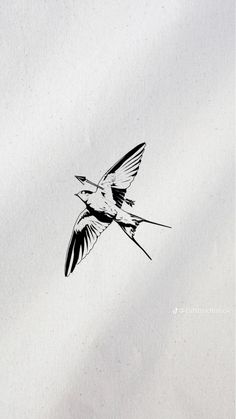 a black and white photo of a bird flying in the sky