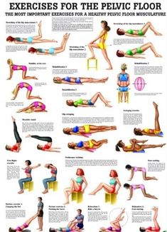 an exercise poster showing how to do exercises for the pelvic floor