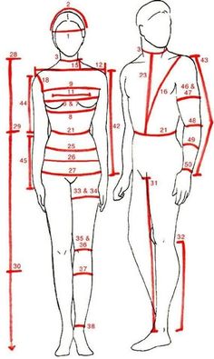 the measurements for a woman's body are shown