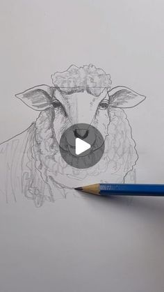 a pencil drawing of a sheep's face on paper with a video playing in the background