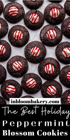 the best holiday peppermint blossom cookies