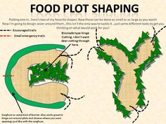 the diagram shows how food plot shaping works