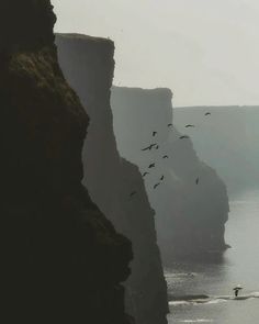 birds are flying over the water and cliffs