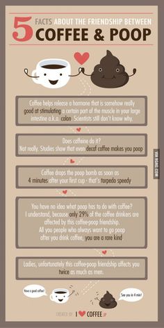 coffee and poop info sheet with the words 5 things about the friend between coffee and poop