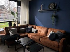 a living room with blue walls and brown leather couches in front of a window