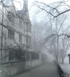 a foggy street lined with trees and buildings