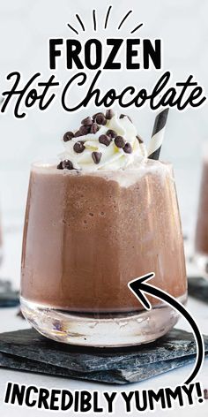 a chocolate dessert with whipped cream and chocolate chips